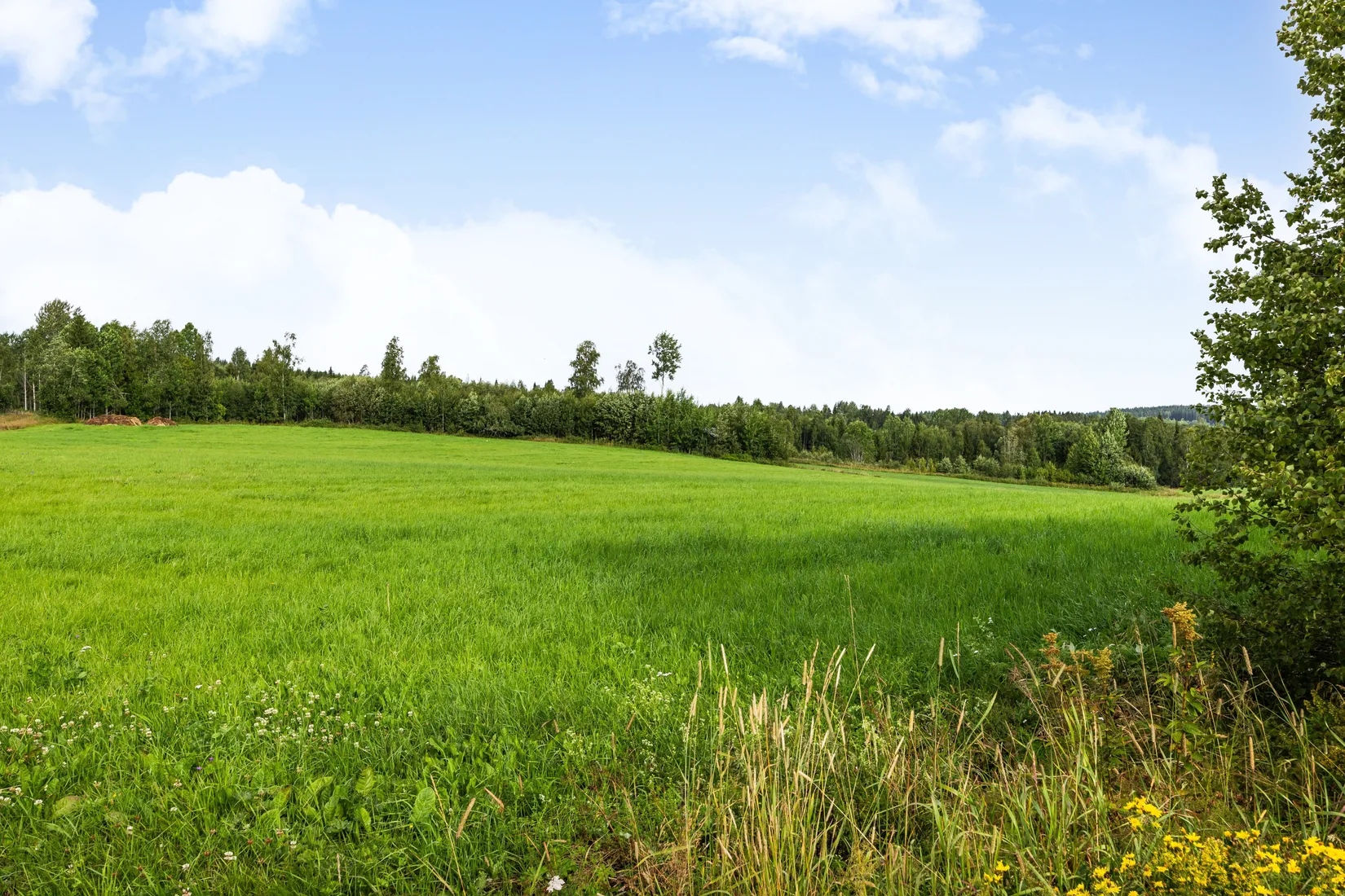 Gård/Skog, Vattlång 410, Vattlång, Nordanstig