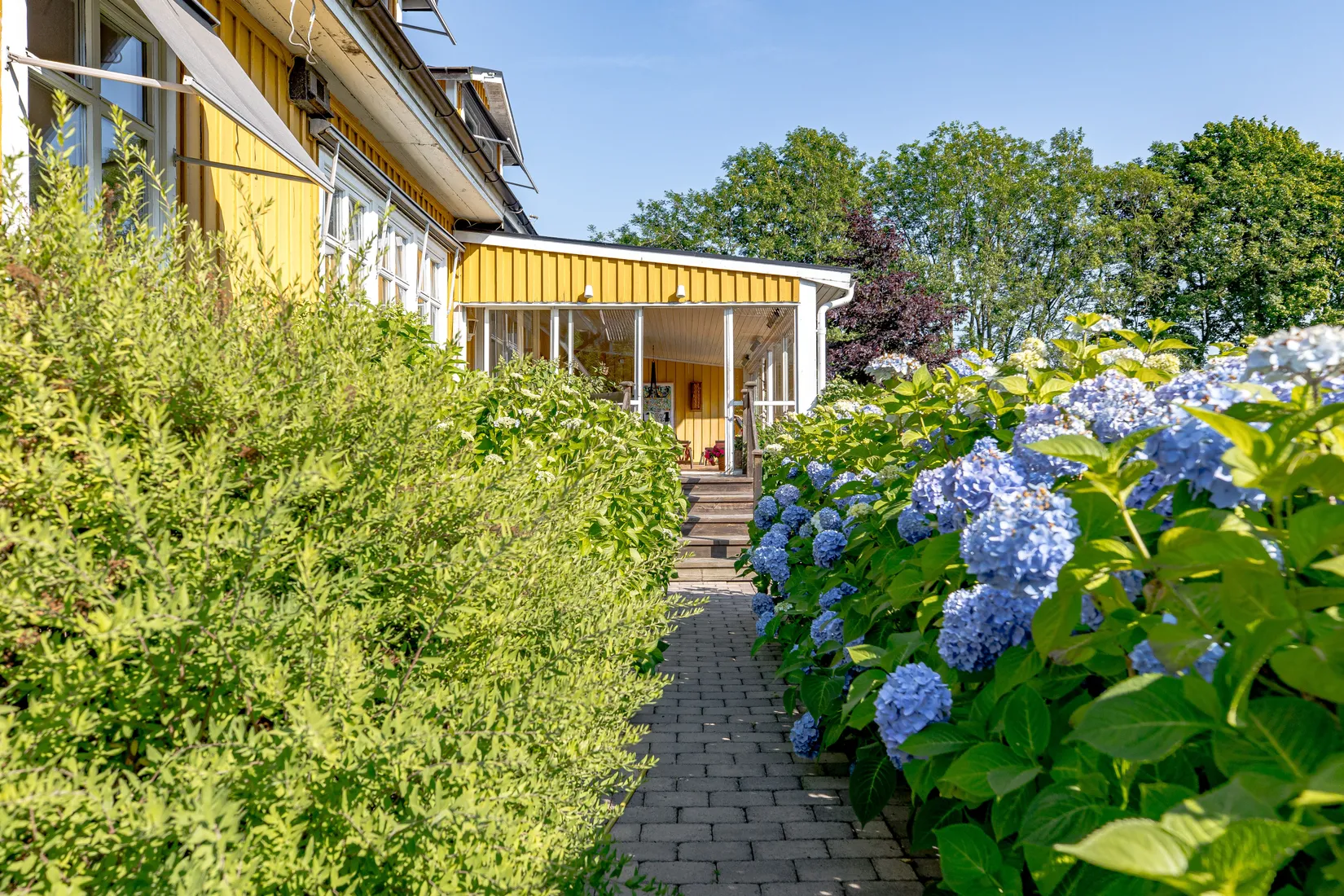 Gård/Skog, Stums gård 202 och Stum 204, Ljungby, Falkenberg