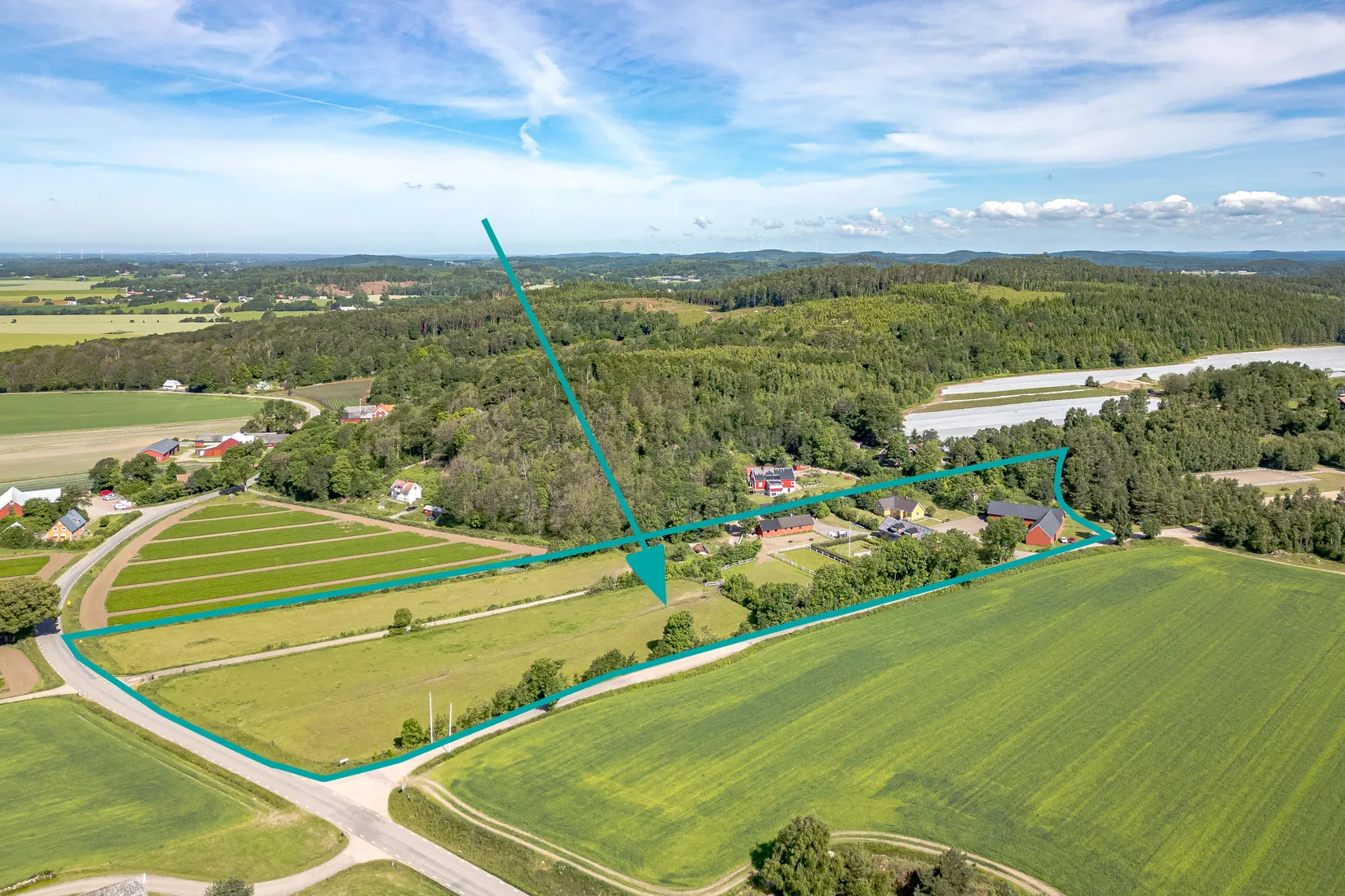 Gård/Skog, Stums gård 202 och Stum 204, Ljungby, Falkenberg