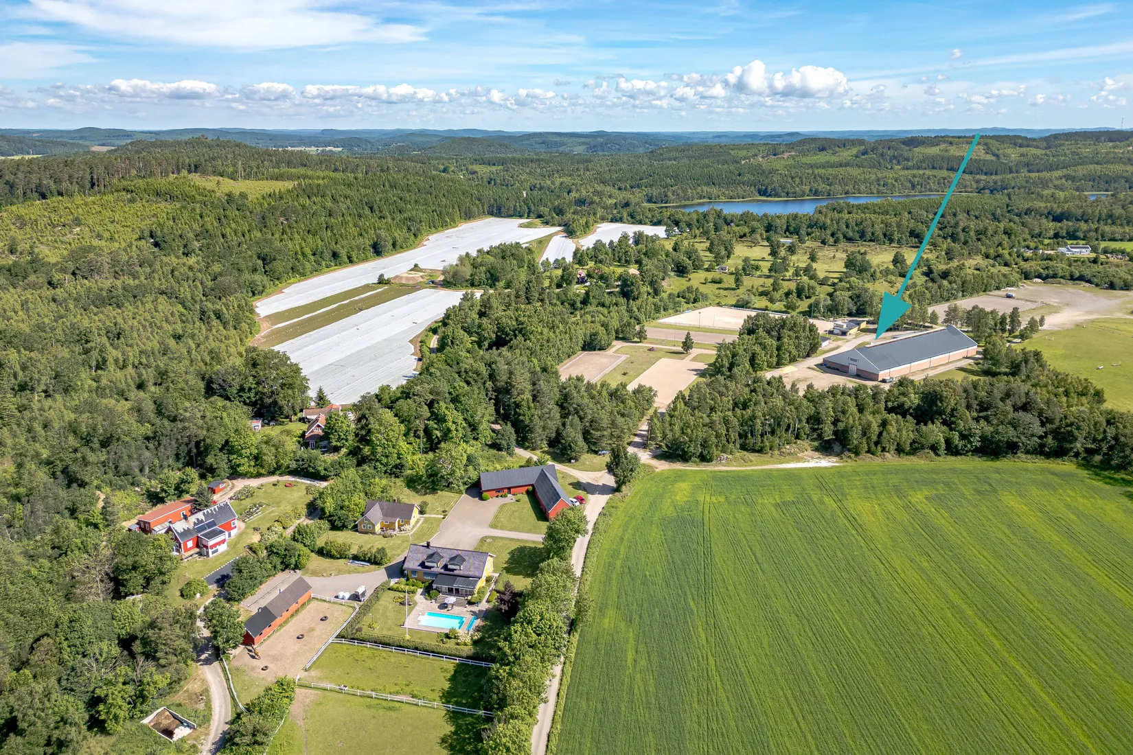 Gård/Skog, Stums gård 202 och Stum 204, Ljungby, Falkenberg