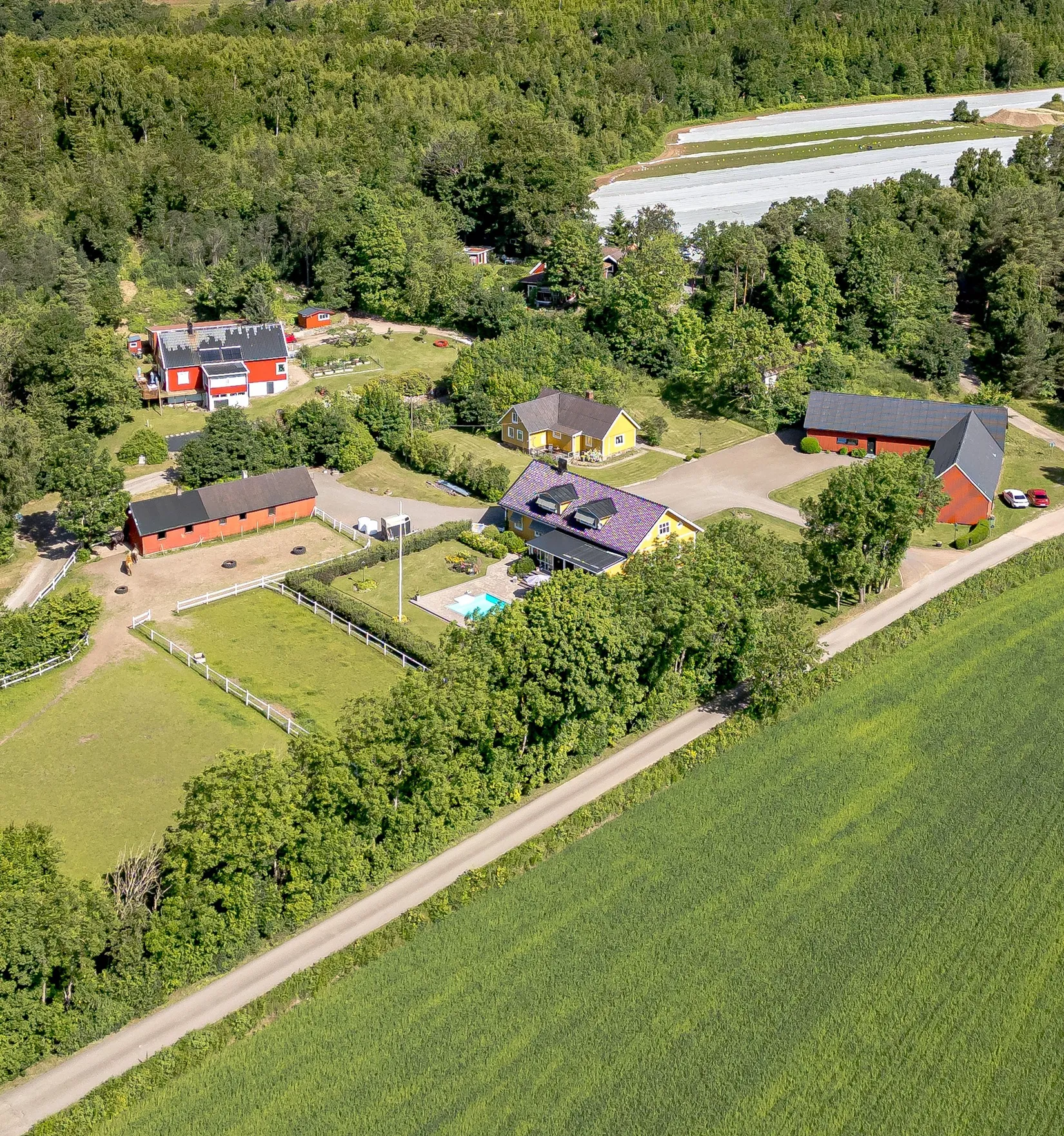 Gård/Skog, Stums gård 202 och Stum 204, Ljungby, Falkenberg