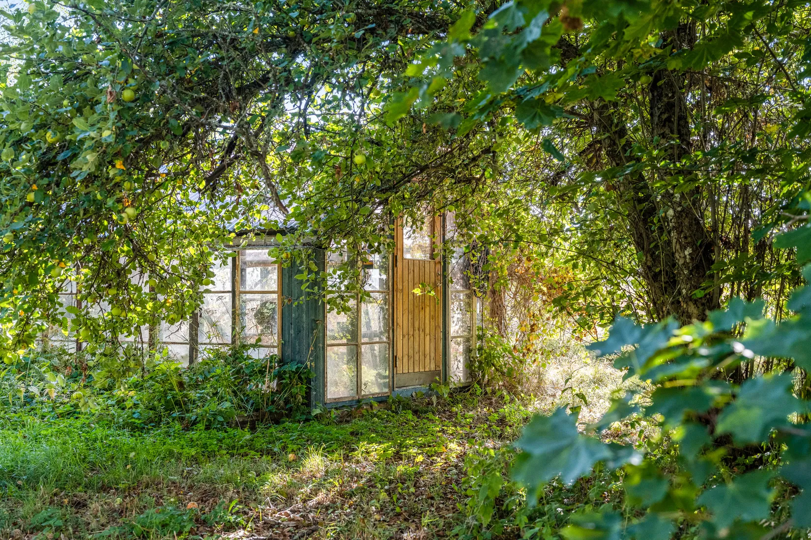 Gård/Skog, Kilby 132, Alunda, Östhammar
