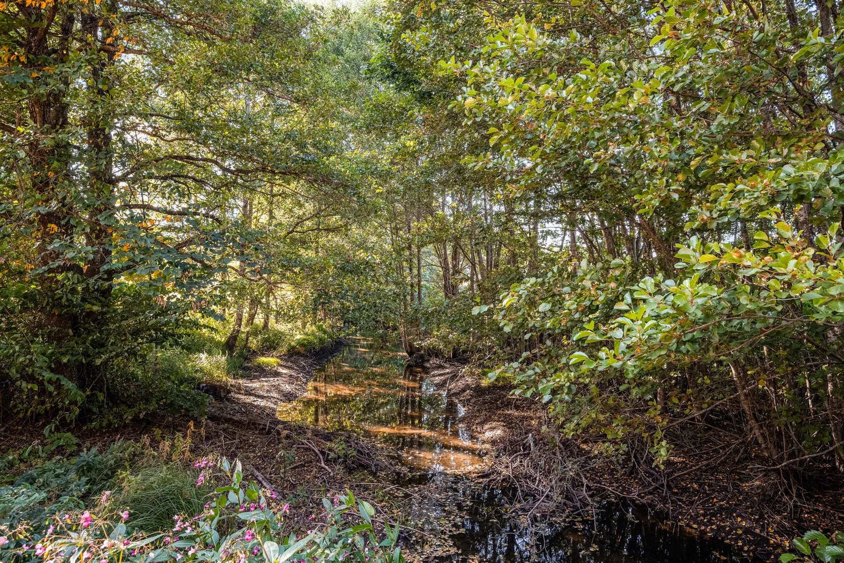 Gård/Skog, Kilby 132, Alunda, Östhammar