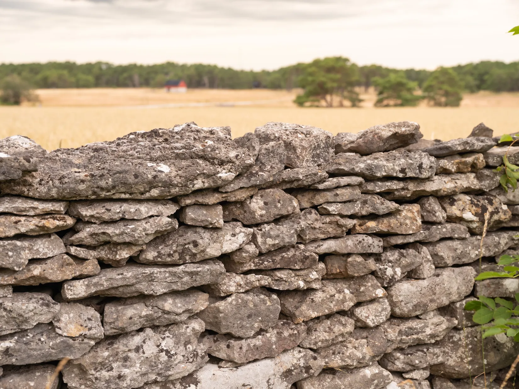 Fritidshus, Fårö Friggars 2443, Fårö, Gotland