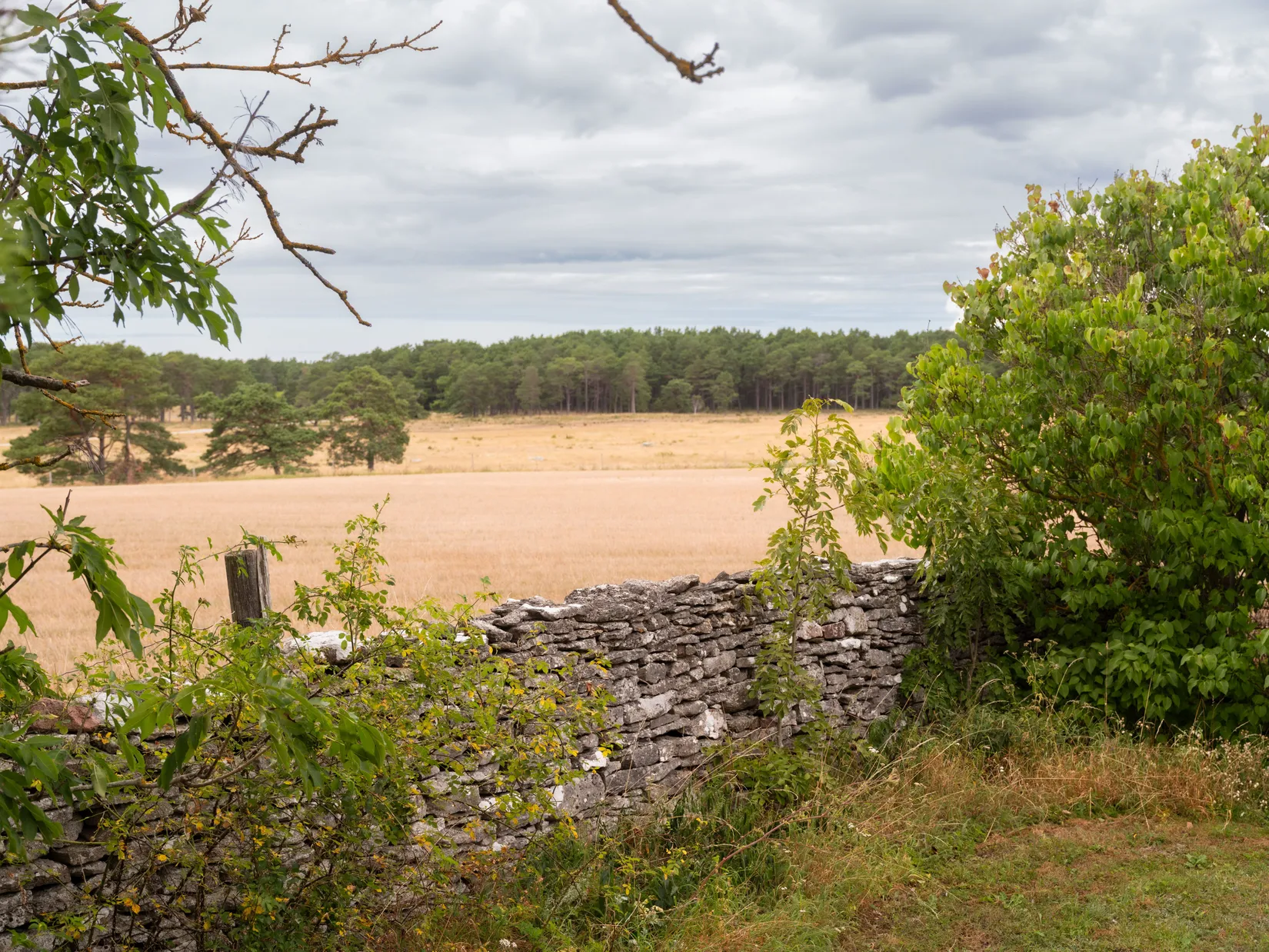 Fritidshus, Fårö Friggars 2443, Fårö, Gotland