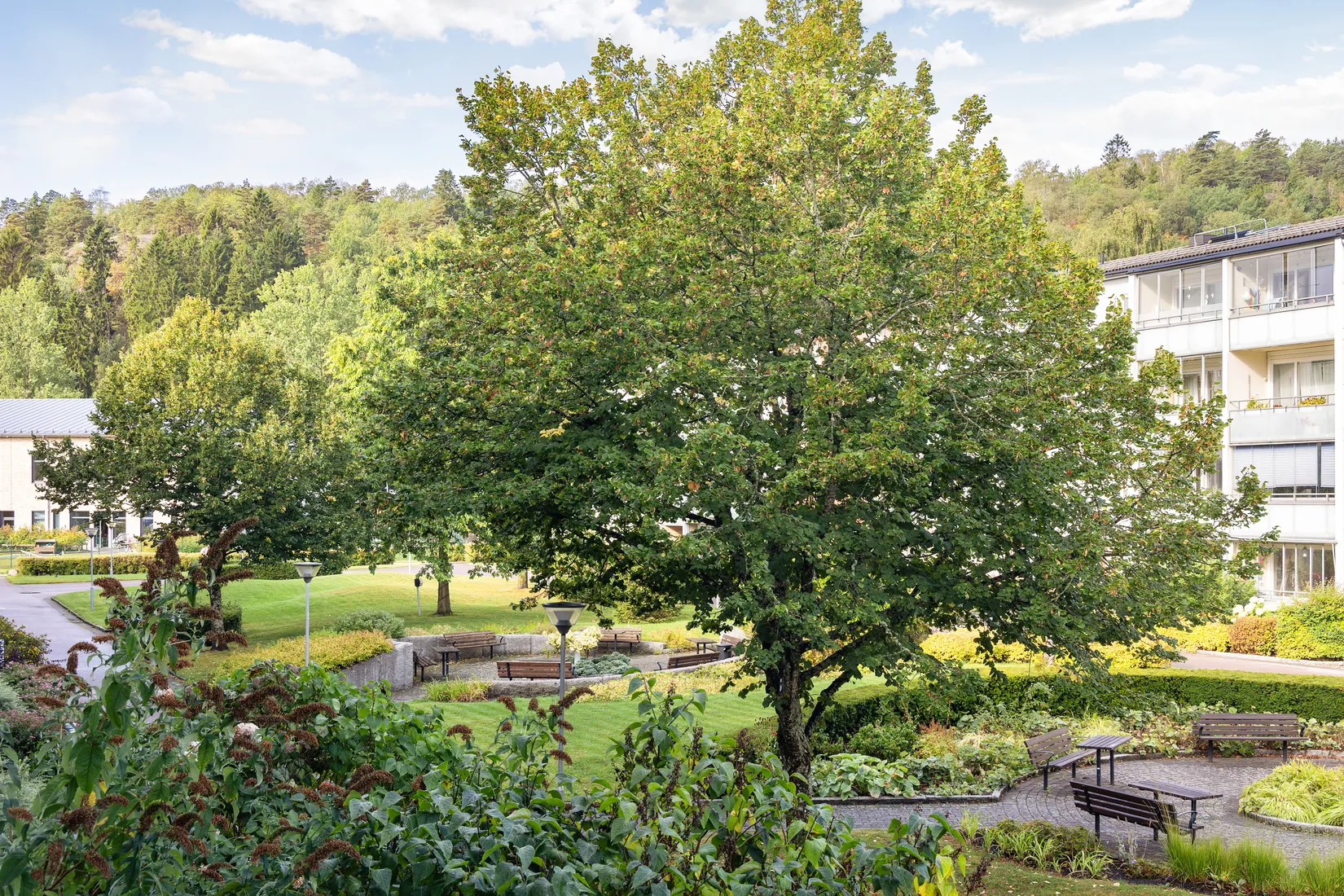 Bostadsrätt, Pinnharvsgatan 6A, Mölndal - Bifrost, Mölndal