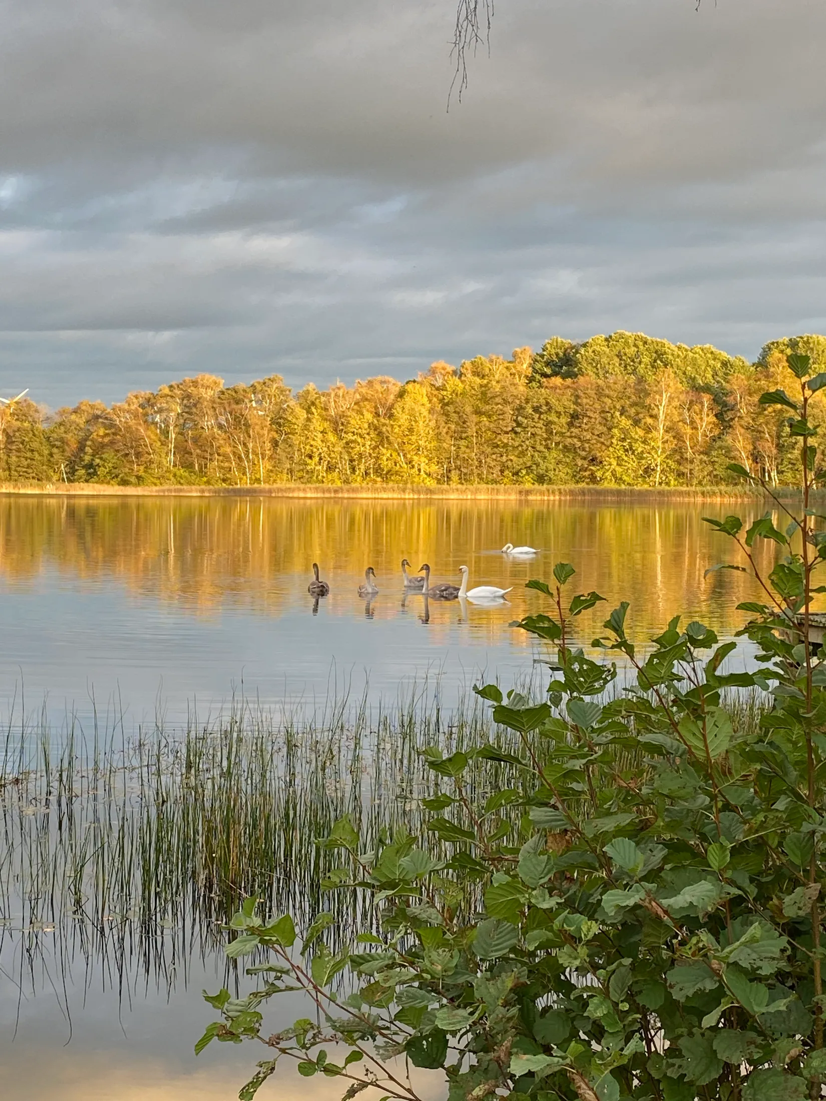Villa, Ebbarps stugby 18, Ebbarp, Laholm