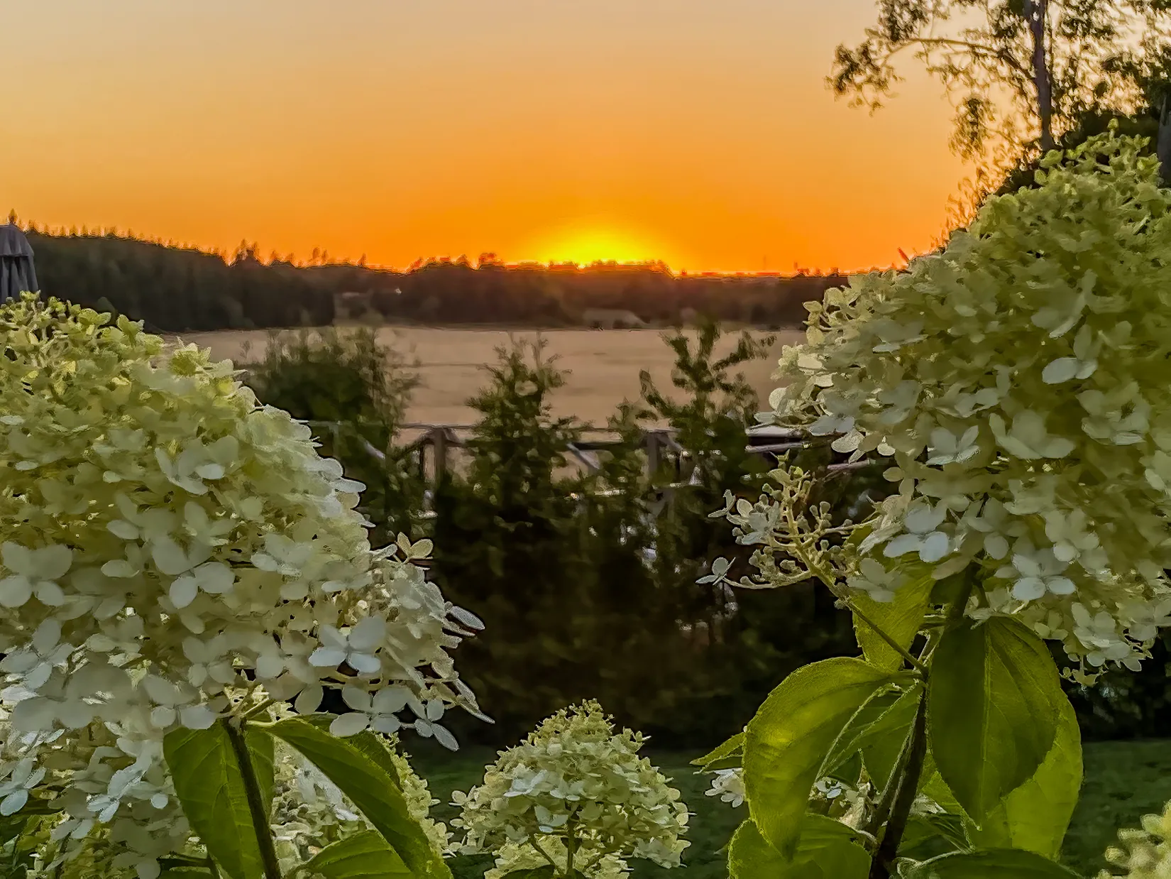 Radhus, Venngarn 264 L, Sigtuna