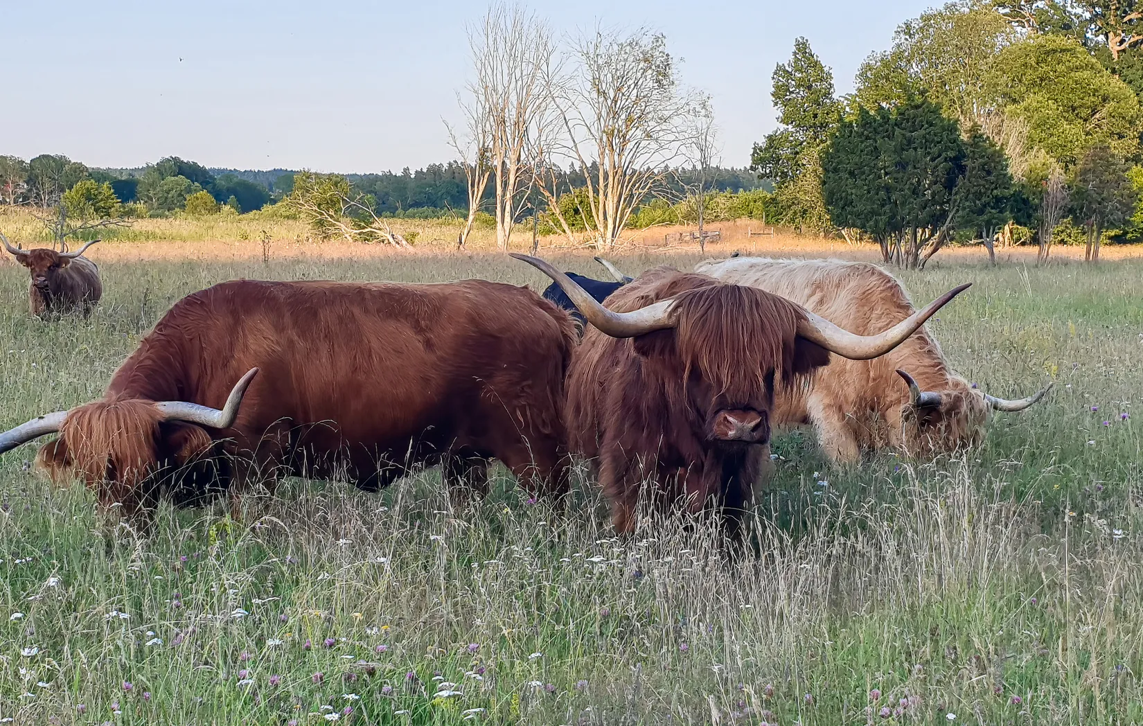 Radhus, Venngarn 264 L, Sigtuna