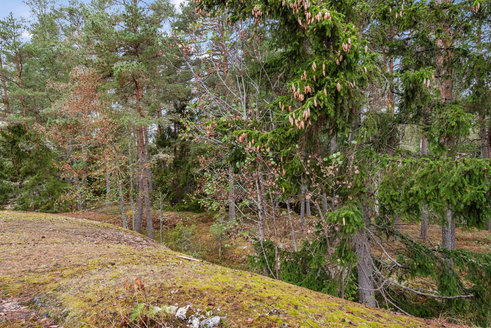 Fritidshus, Bofinksvägen 6, Vätö, Norrtälje
