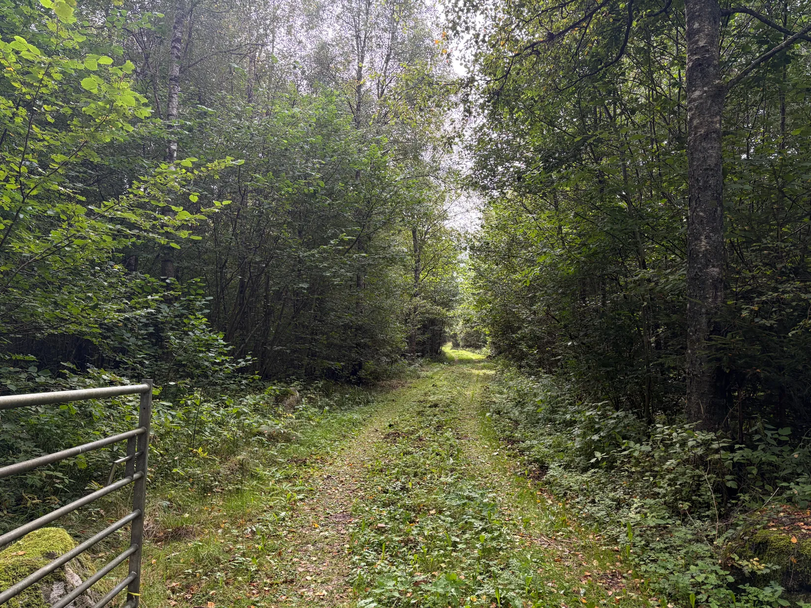 Gård/Skog, Östenstorp 4466, Södra Rörum, Hörby