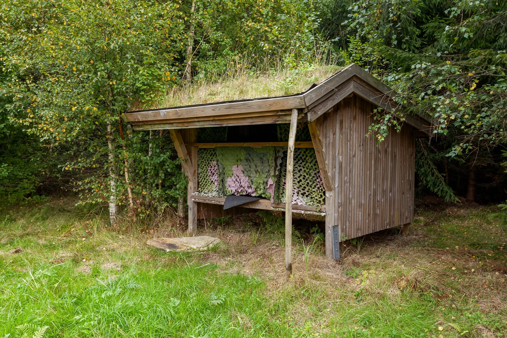 Gård/Skog, Östenstorp 4466, Södra Rörum, Hörby