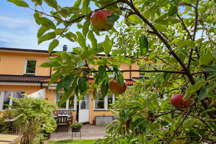 Radhus, Danastigen 26, Gribbylund, Täby