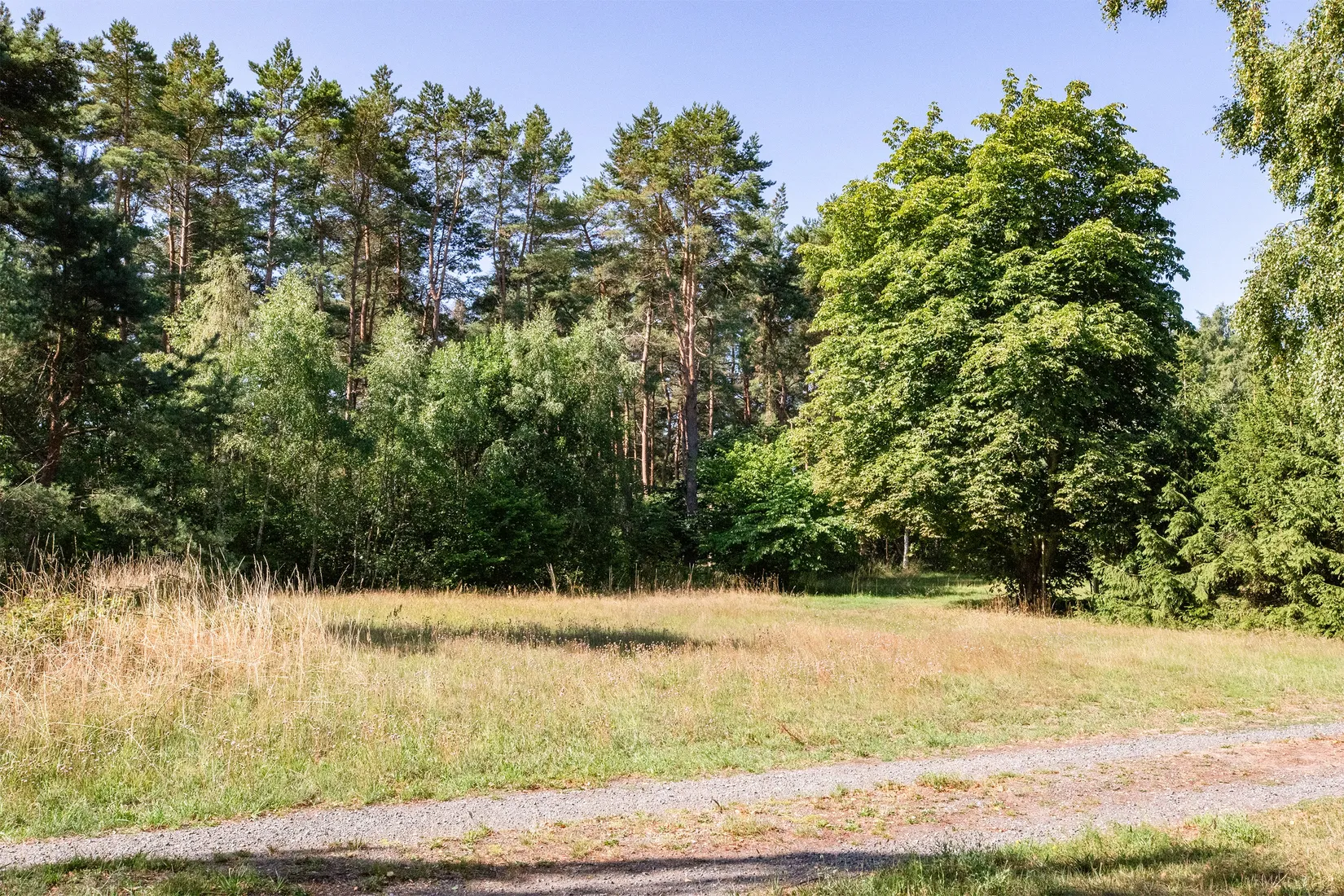 Tomt, Hagestad 3:4, Hagestad, Ystad