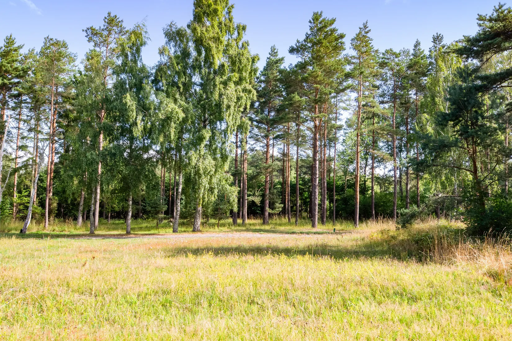 Tomt, Hagestad 3:4, Hagestad, Ystad