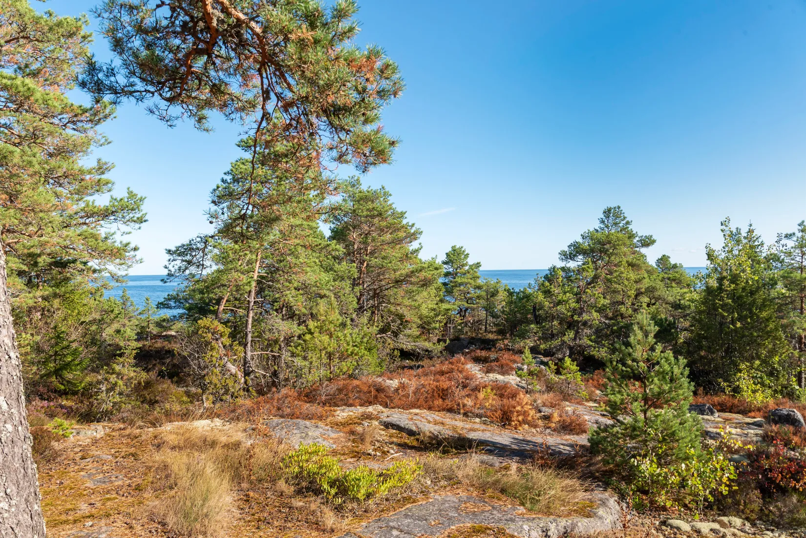 Fritidshus, Norra Havsängen 64, Norra Havsängen, Norrtälje