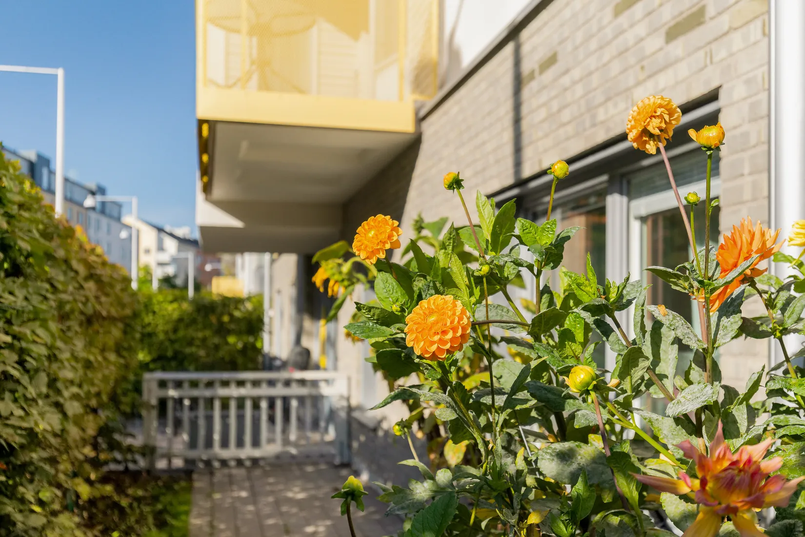 Bostadsrätt, Dammtorps Allé 4, Solna Järvastaden, Solna
