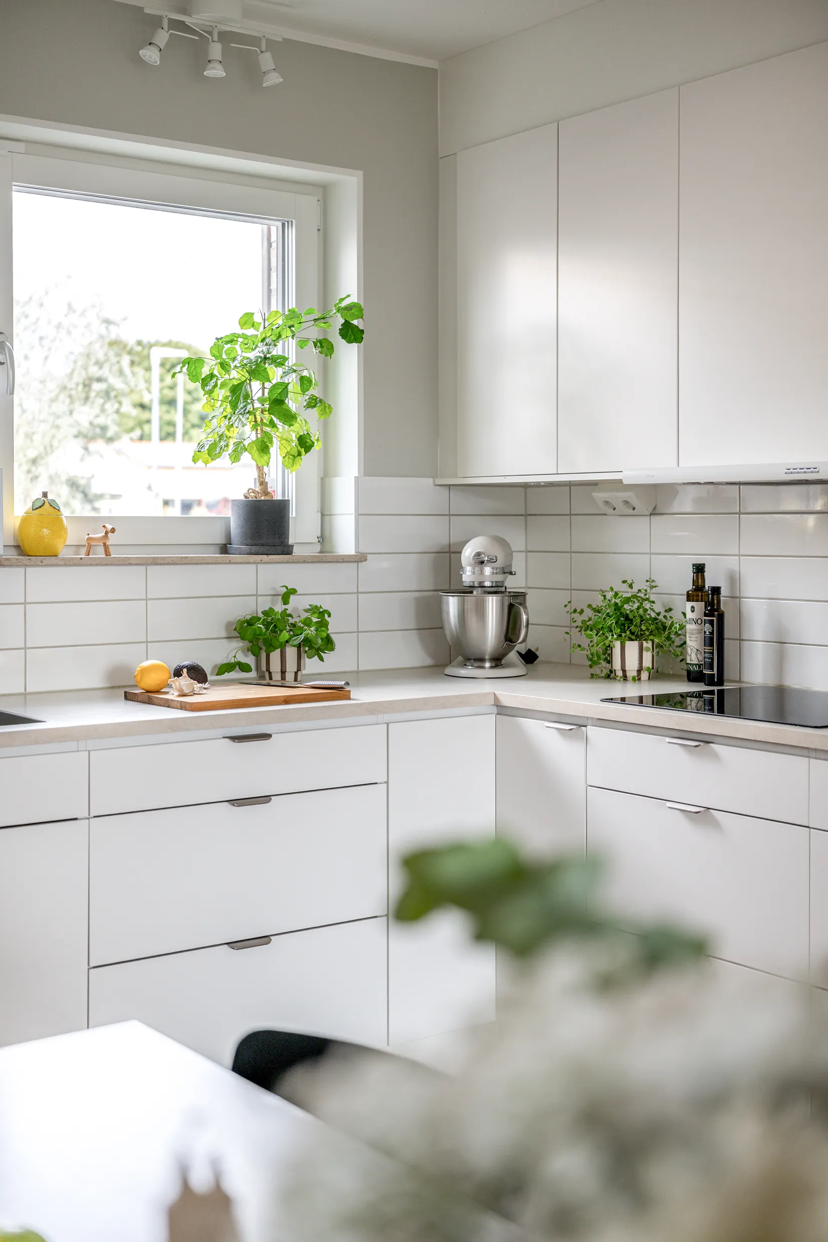 Bostadsrätt, Lilla Byvägen 6E, Häljarp, Landskrona