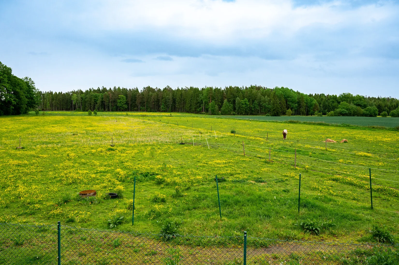 Gård/Skog, Täng Tomten 4, Täng, Grästorp