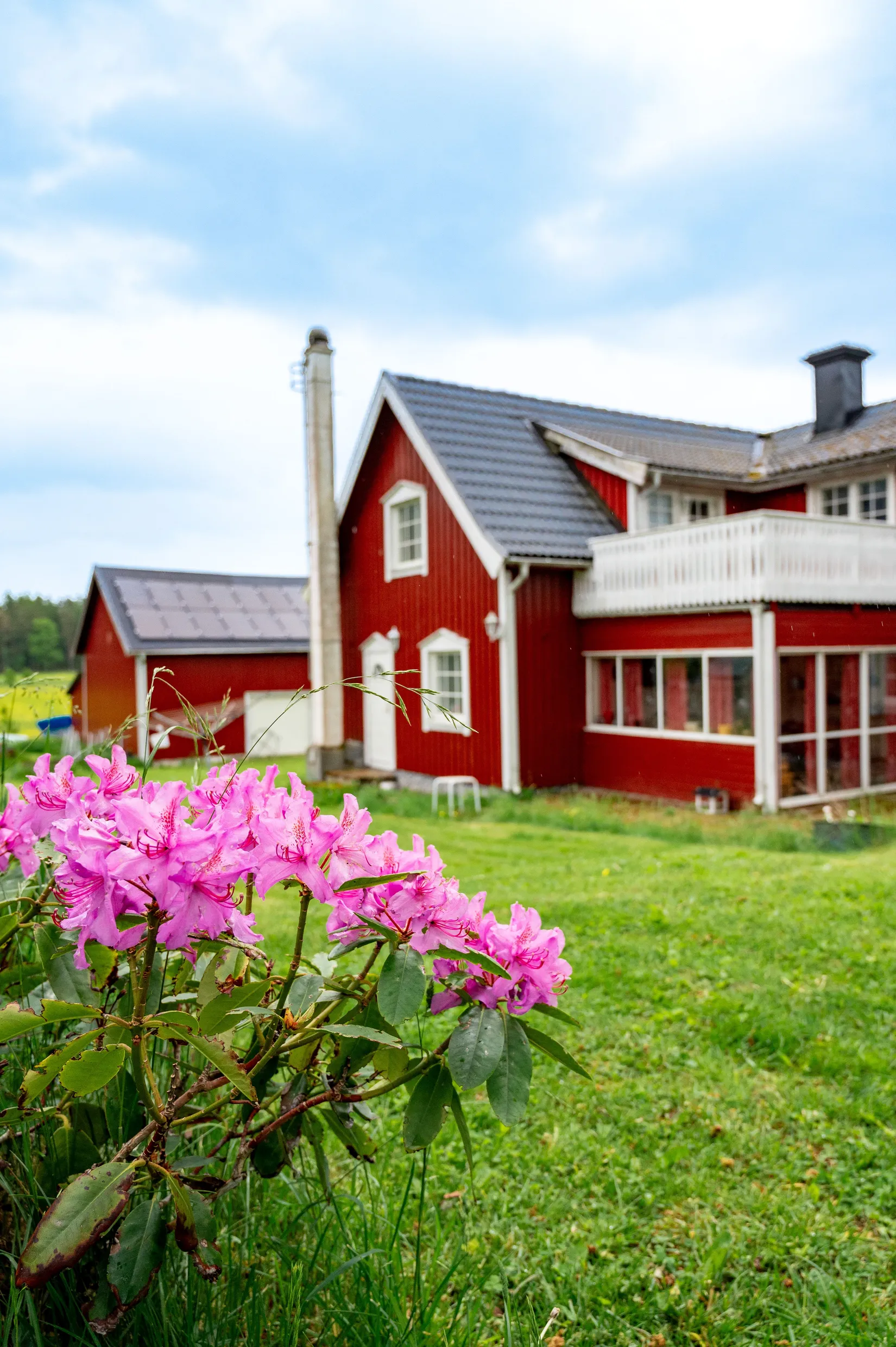 Gård/Skog, Täng Tomten 4, Täng, Grästorp