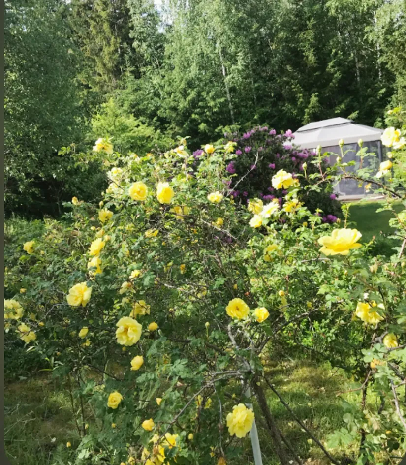 Fritidshus, Ceders väg 1, Kolarvik, Enköping