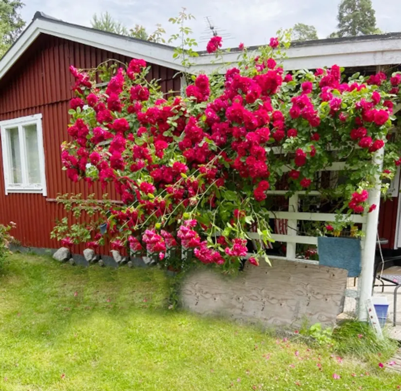 Fritidshus, Ceders väg 1, Kolarvik, Enköping