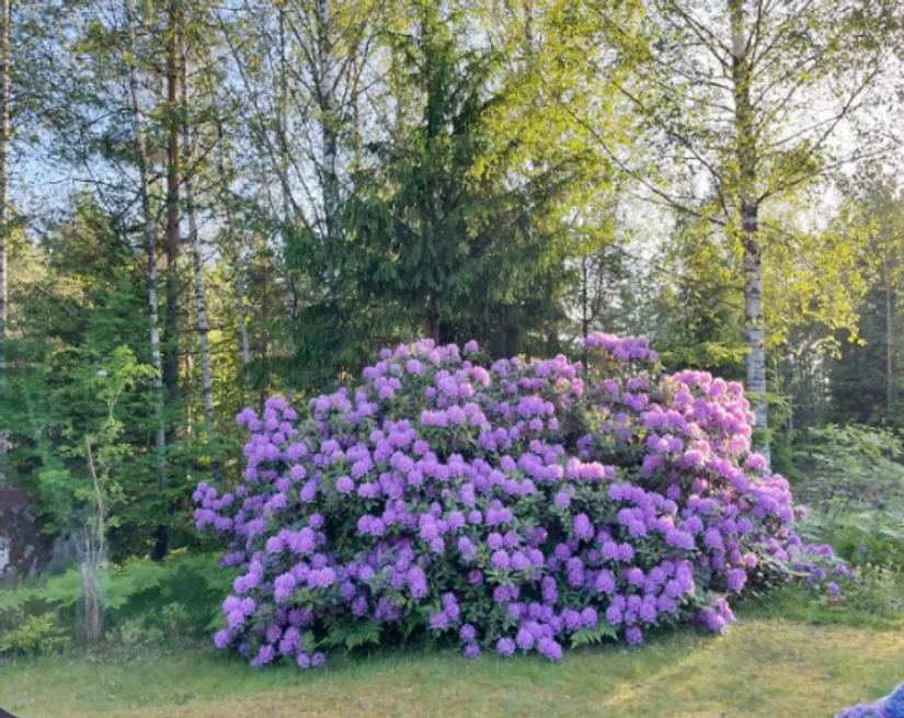 Fritidshus, Ceders väg 1, Kolarvik, Enköping
