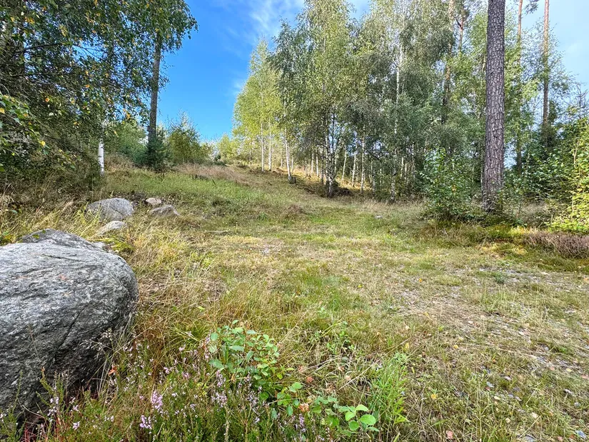 Fritidshus, Almered Ösjöhöjd 1, Västergötland, Mark