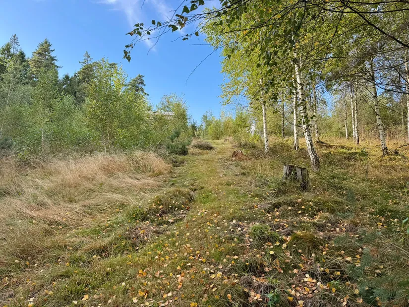 Fritidshus, Almered Ösjöhöjd 1, Västergötland, Mark