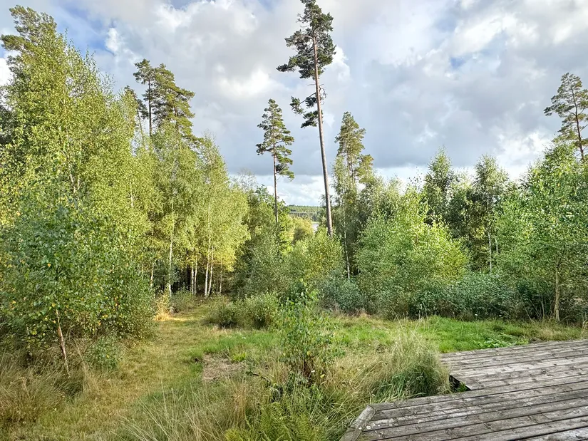 Fritidshus, Almered Ösjöhöjd 1, Västergötland, Mark