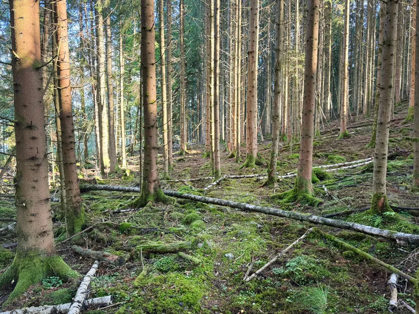 Fritidshus, Almered Ösjöhöjd 1, Västergötland, Mark