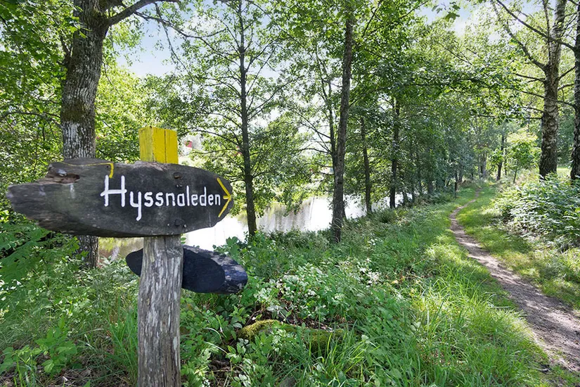 Fritidshus, Almered Ösjöhöjd 1, Västergötland, Mark