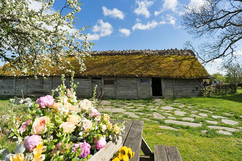 Fritidshus, Almered Ösjöhöjd 1, Västergötland, Mark