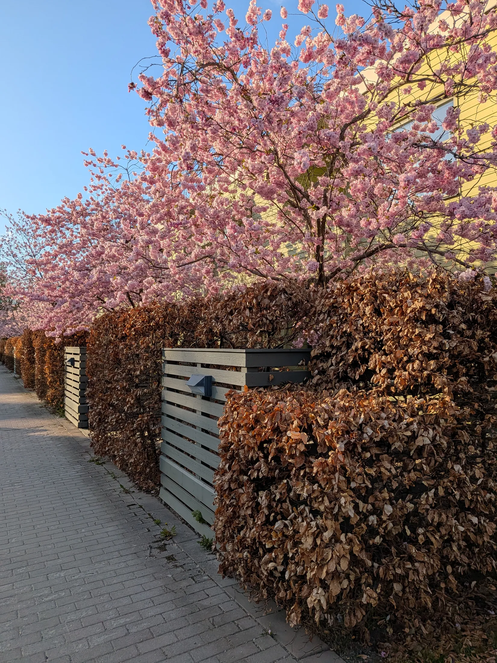 Radhus, Luftfartsgatan 4, Skarpnäck, Stockholm
