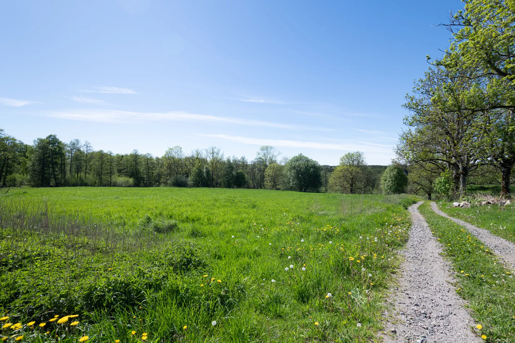 Gård/Skog, Tärby Södra Esstorp 14, Fristad, Borås
