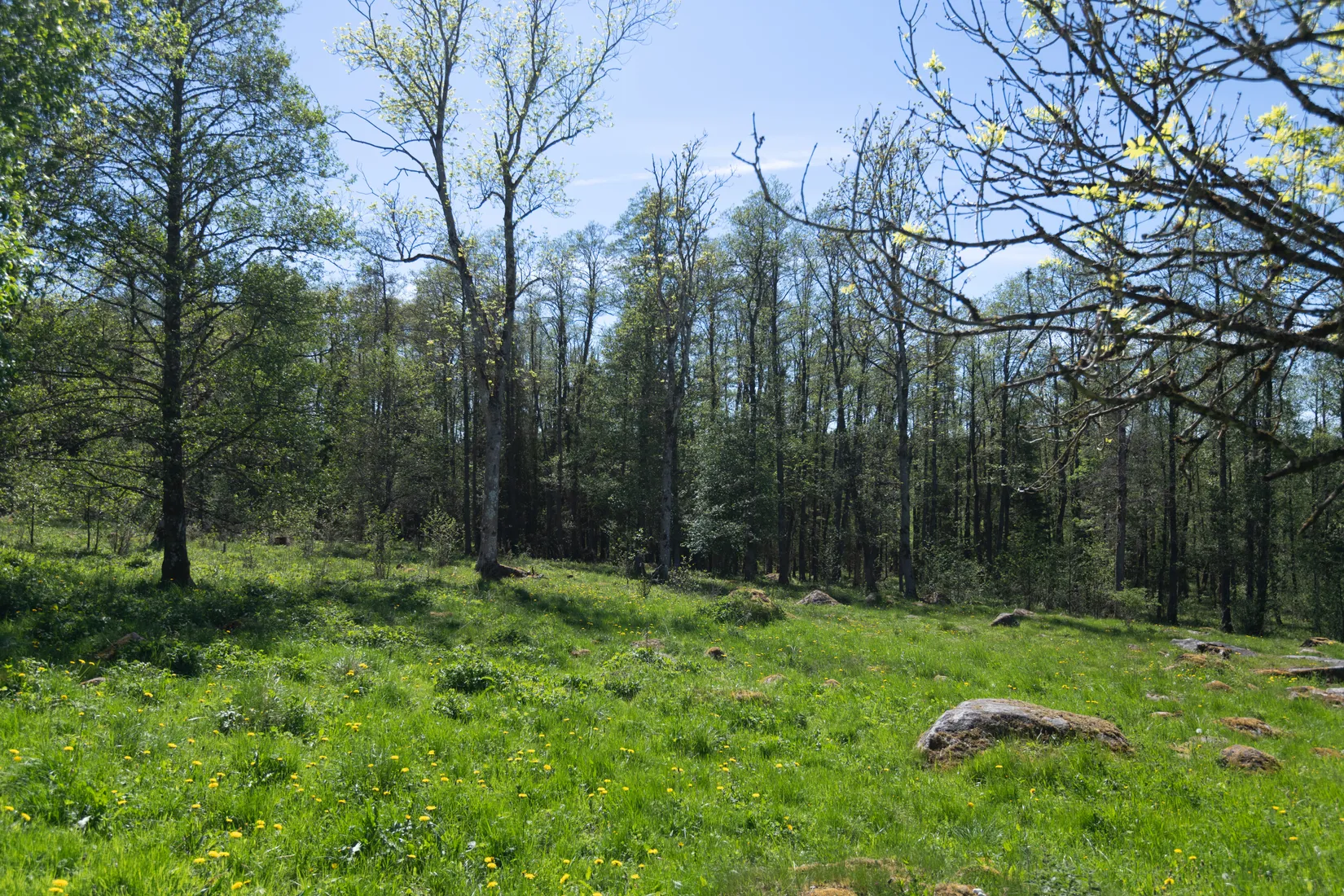 Gård/Skog, Tärby Södra Esstorp 14, Fristad, Borås