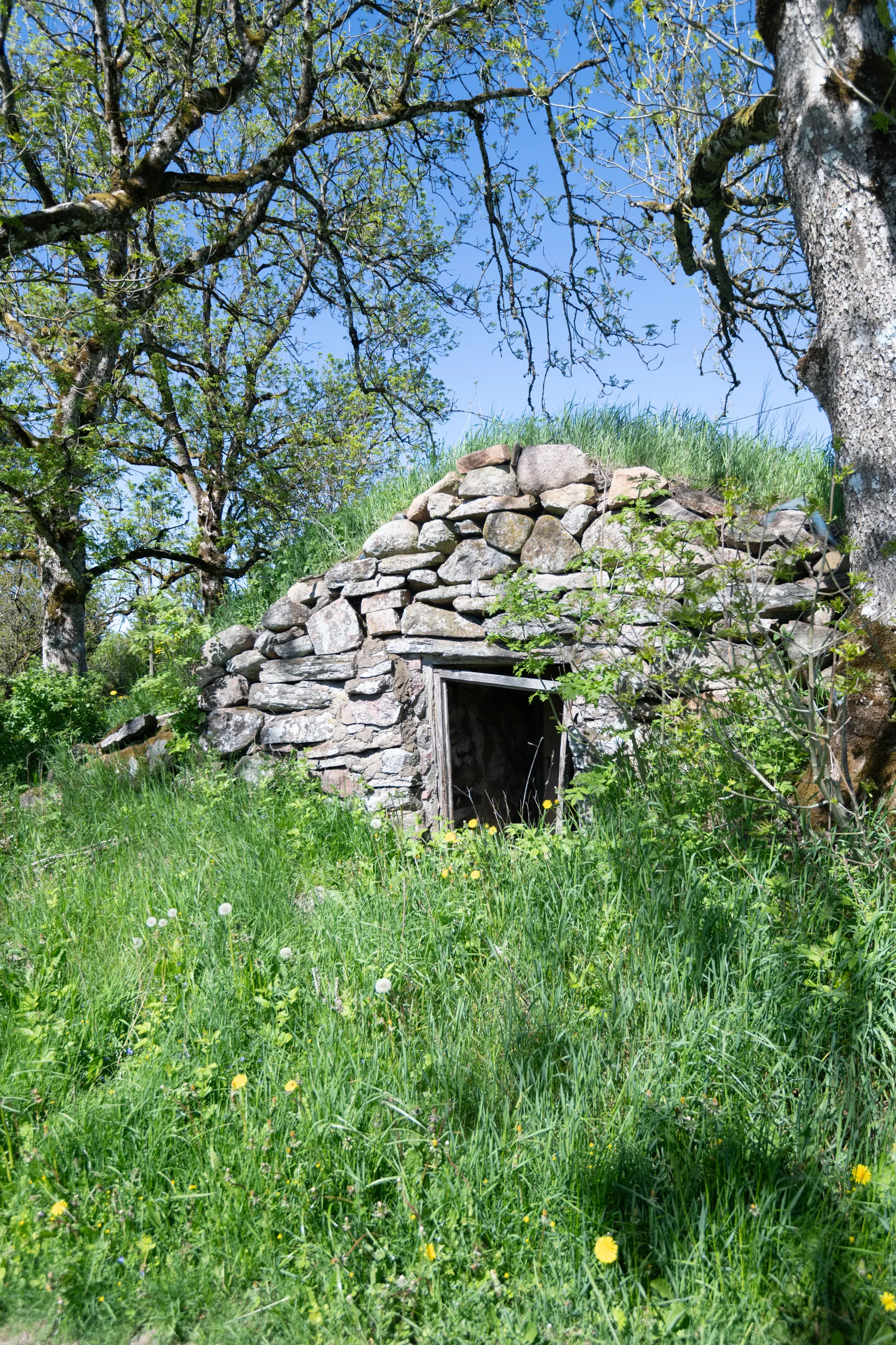 Gård/Skog, Tärby Södra Esstorp 14, Fristad, Borås