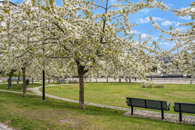 Bostadsrätt, Alsnögatan 26, Södermalm - Sofia, Stockholm