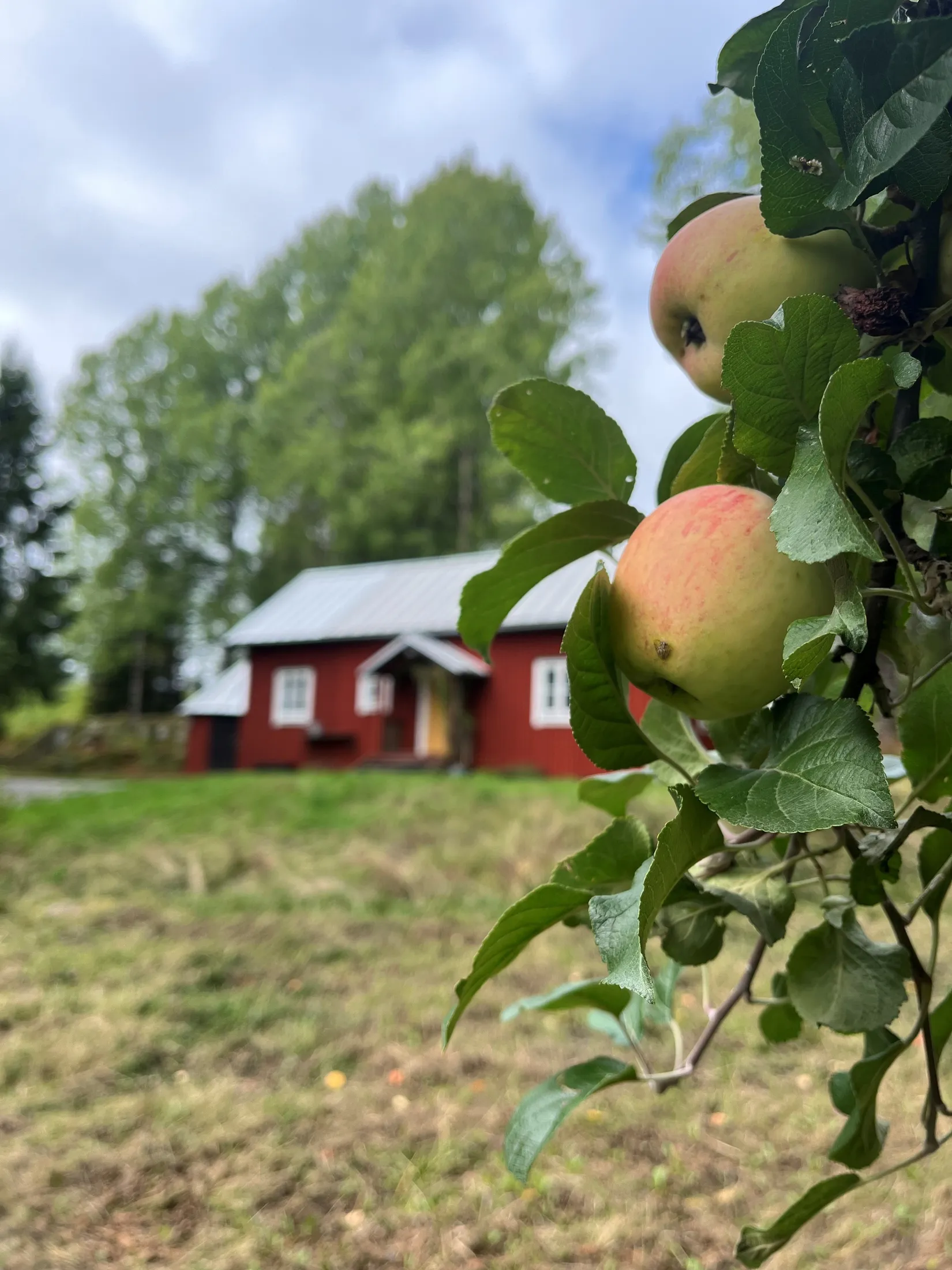 Fritidshus, Hårsbodavägen 23, Ekeby, Norrtälje