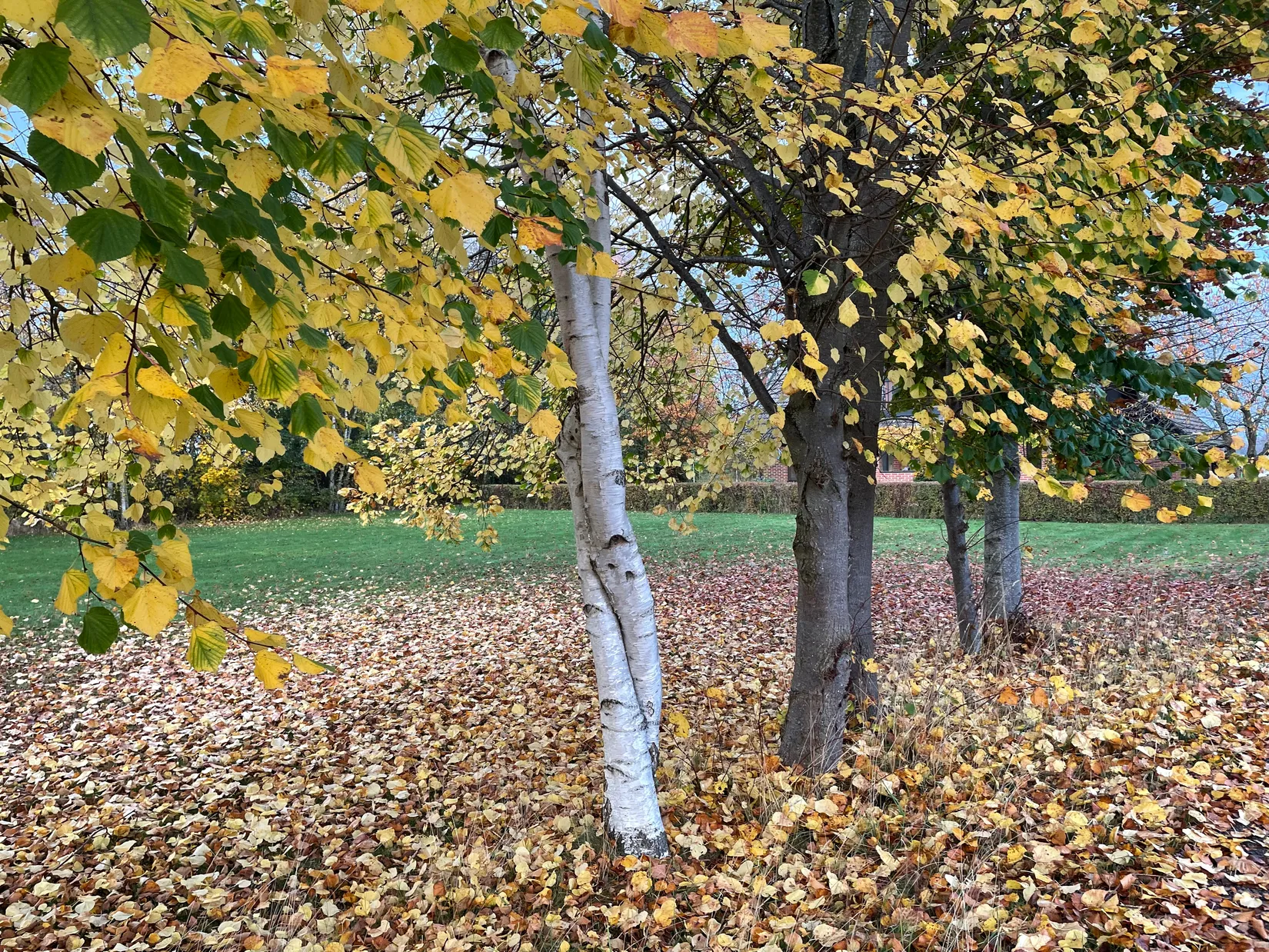Tomt, Varalövsvägen, Ängelholm