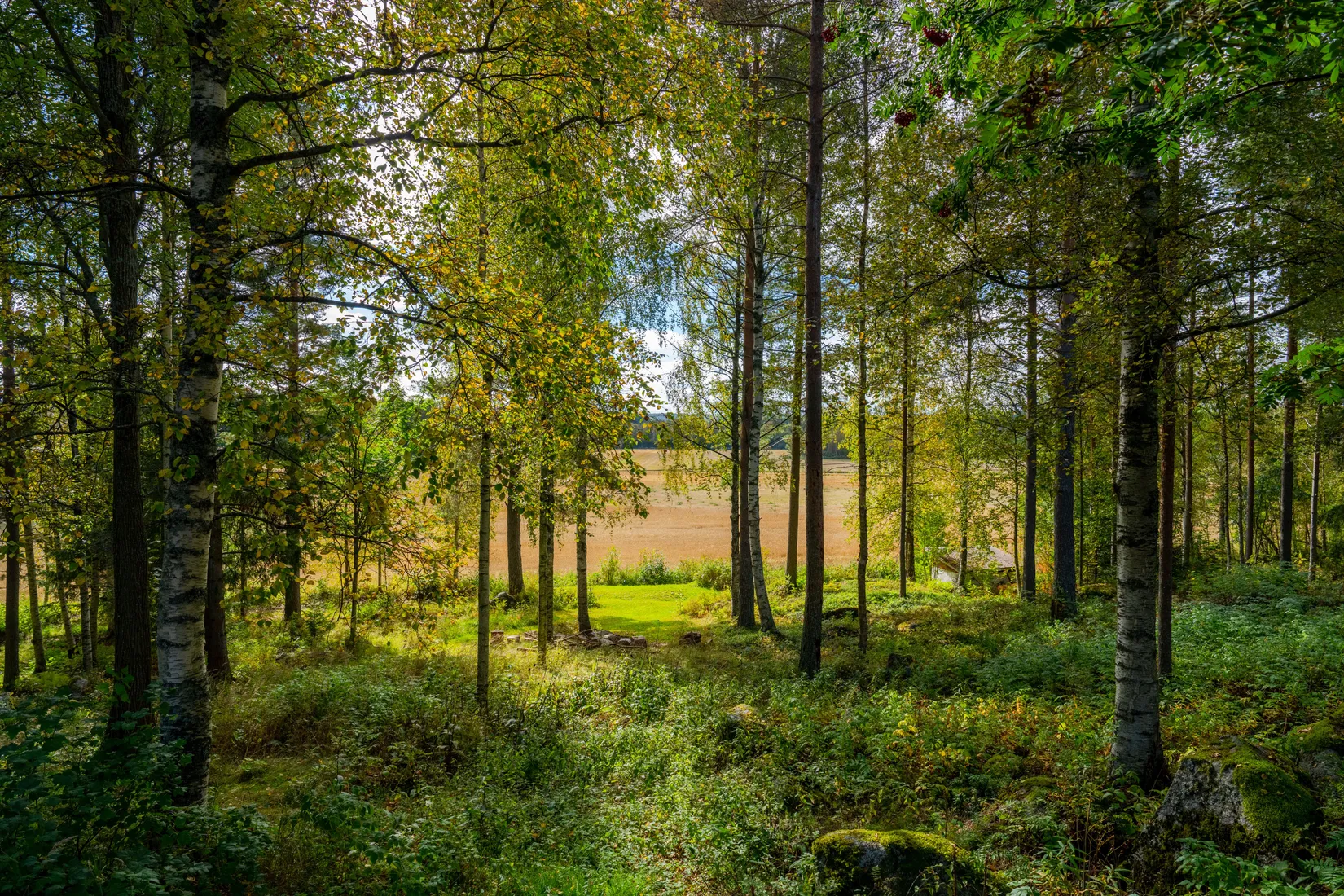 Villa, Kågemarken 143, Kåge, Skellefteå