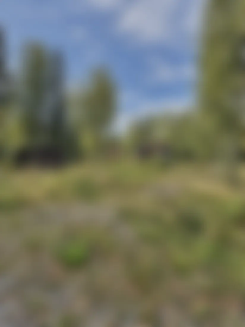 Fritidshus, Adressen är dold tillsvidare, Norrtälje