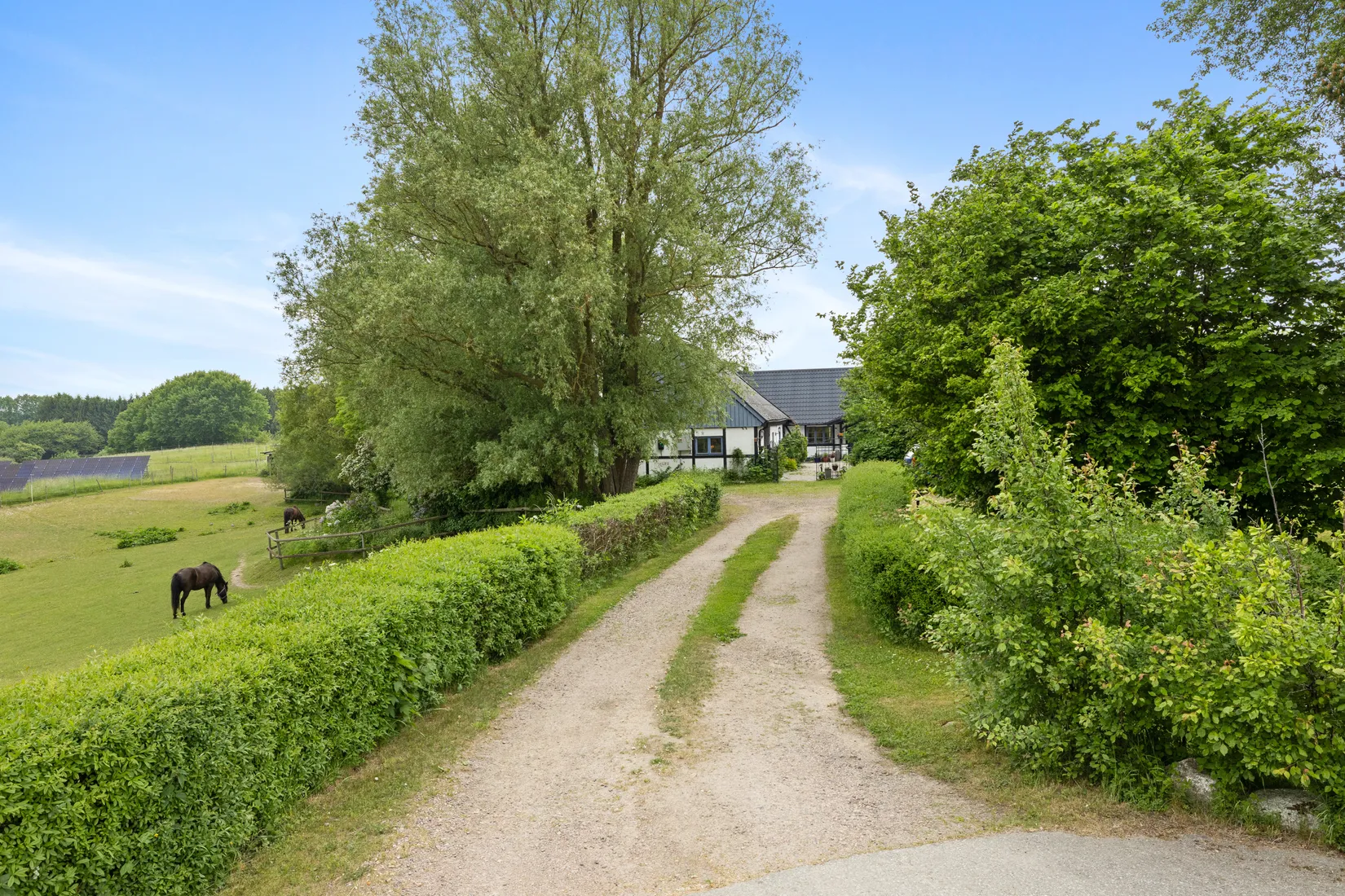 Gård/Skog, Nällevad 112, Nällevad, Skurup