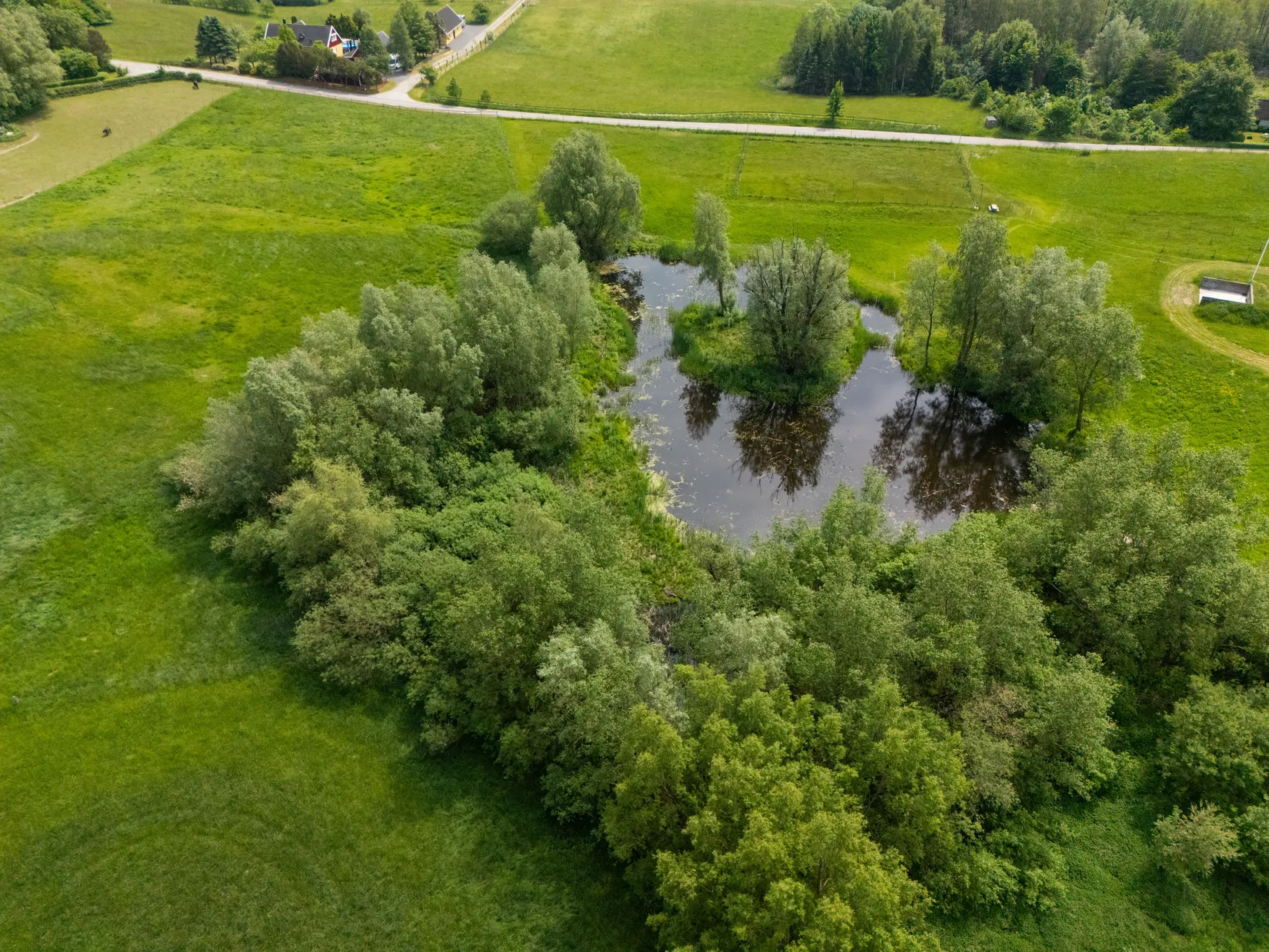Gård/Skog, Nällevad 112, Nällevad, Skurup