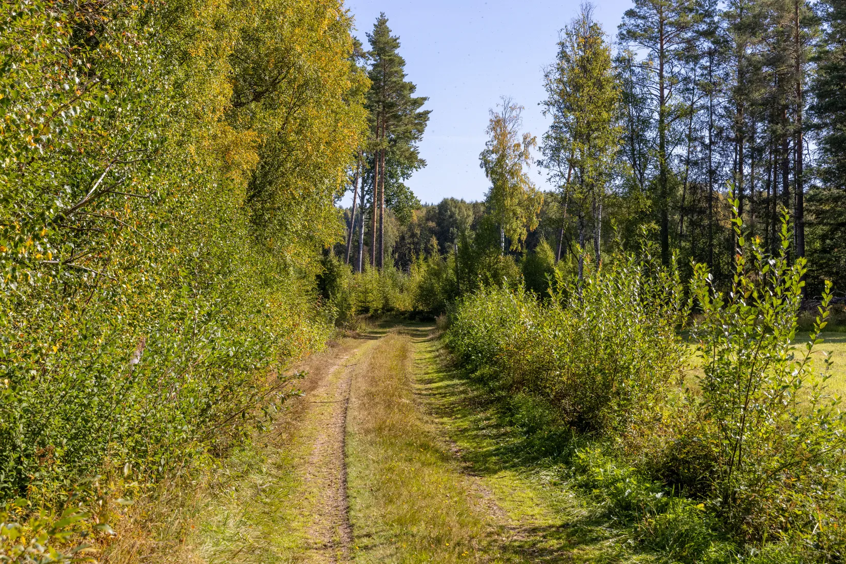 Tomt, Vattnäs, Vattnäs, Mora