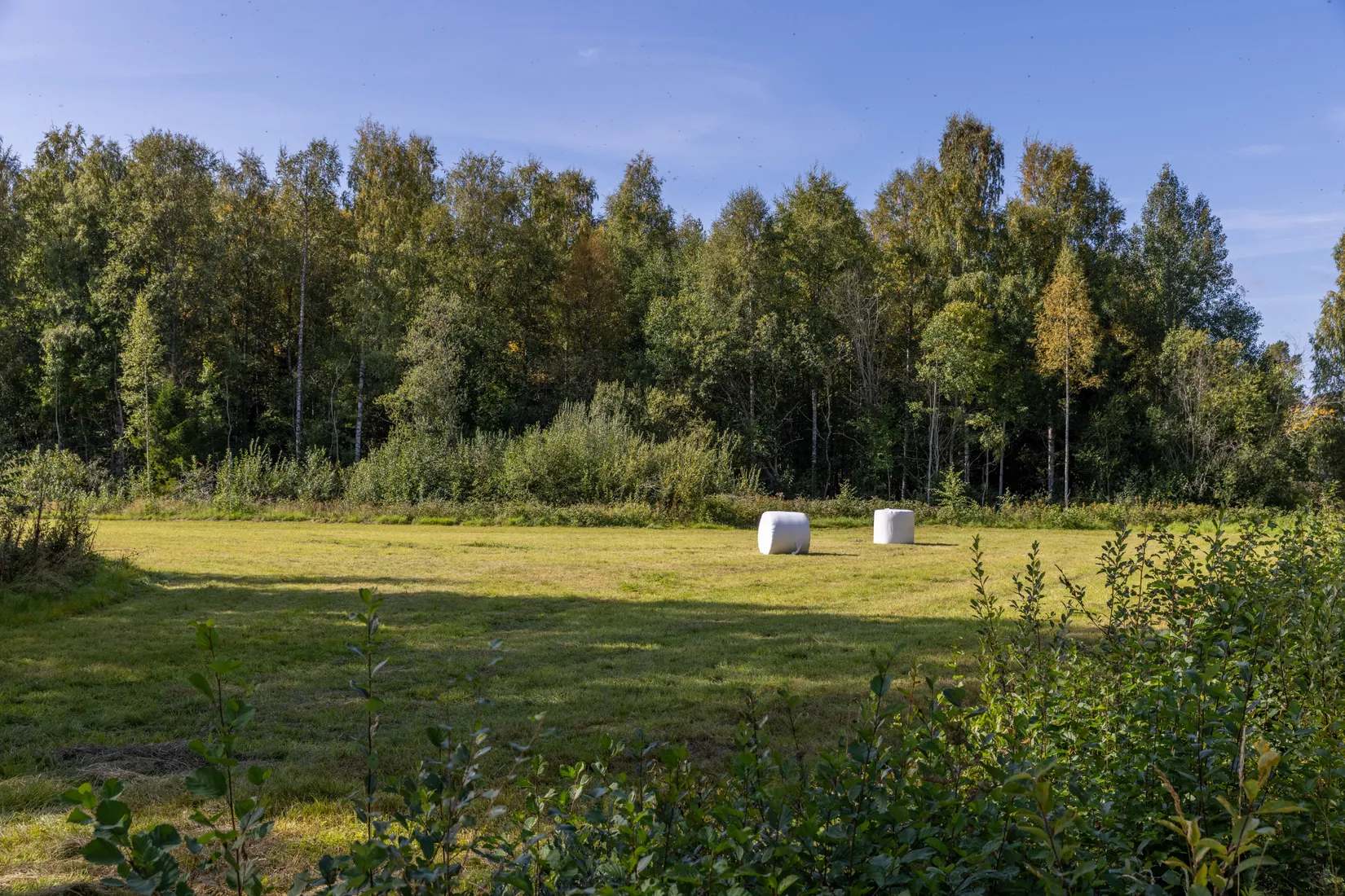 Tomt, Vattnäs, Vattnäs, Mora