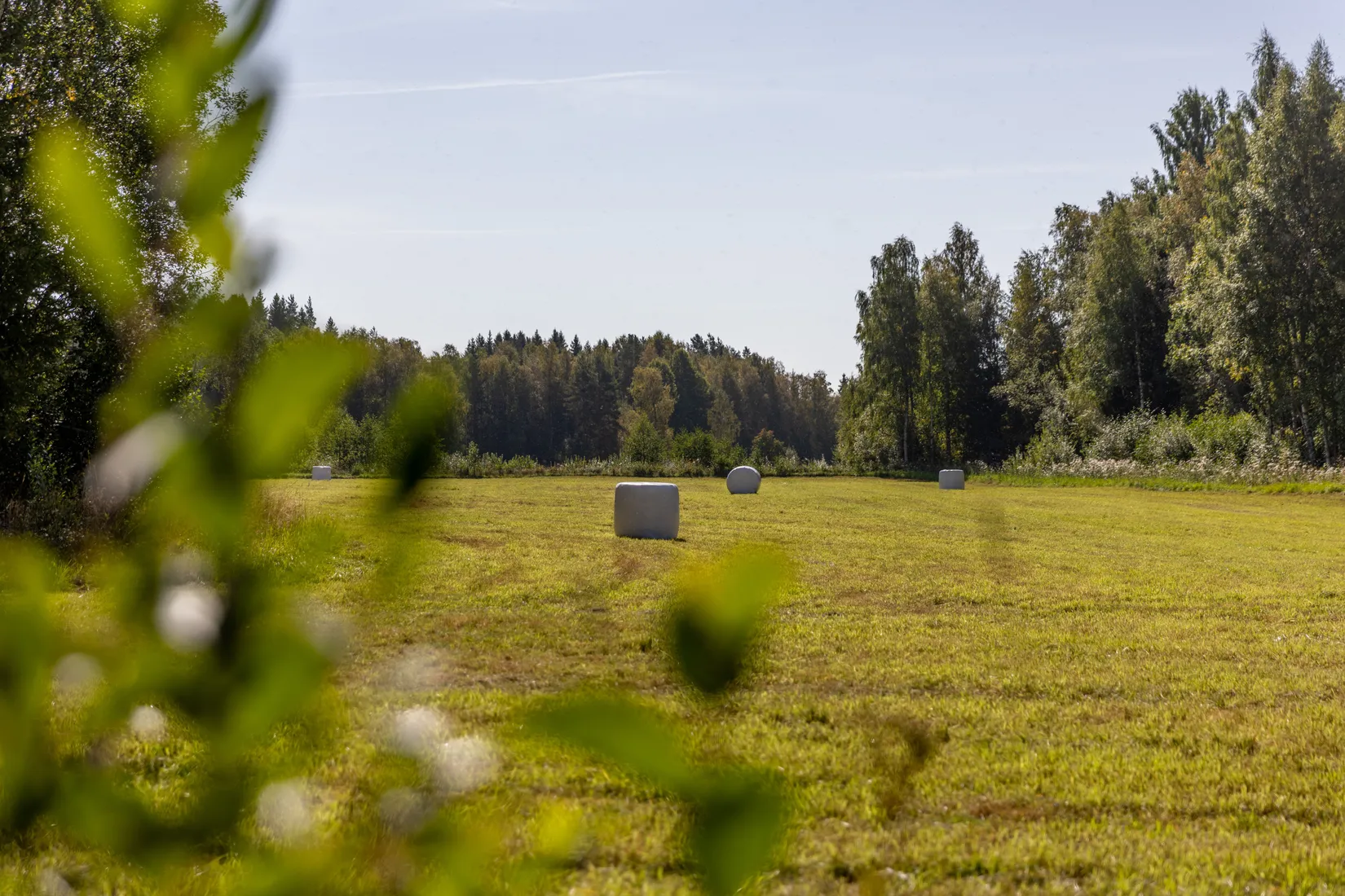 Tomt, Vattnäs, Vattnäs, Mora