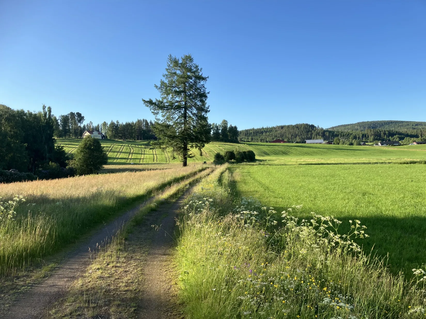 Gård/Skog, Gevåg 507, Hammarstrand, Ragunda