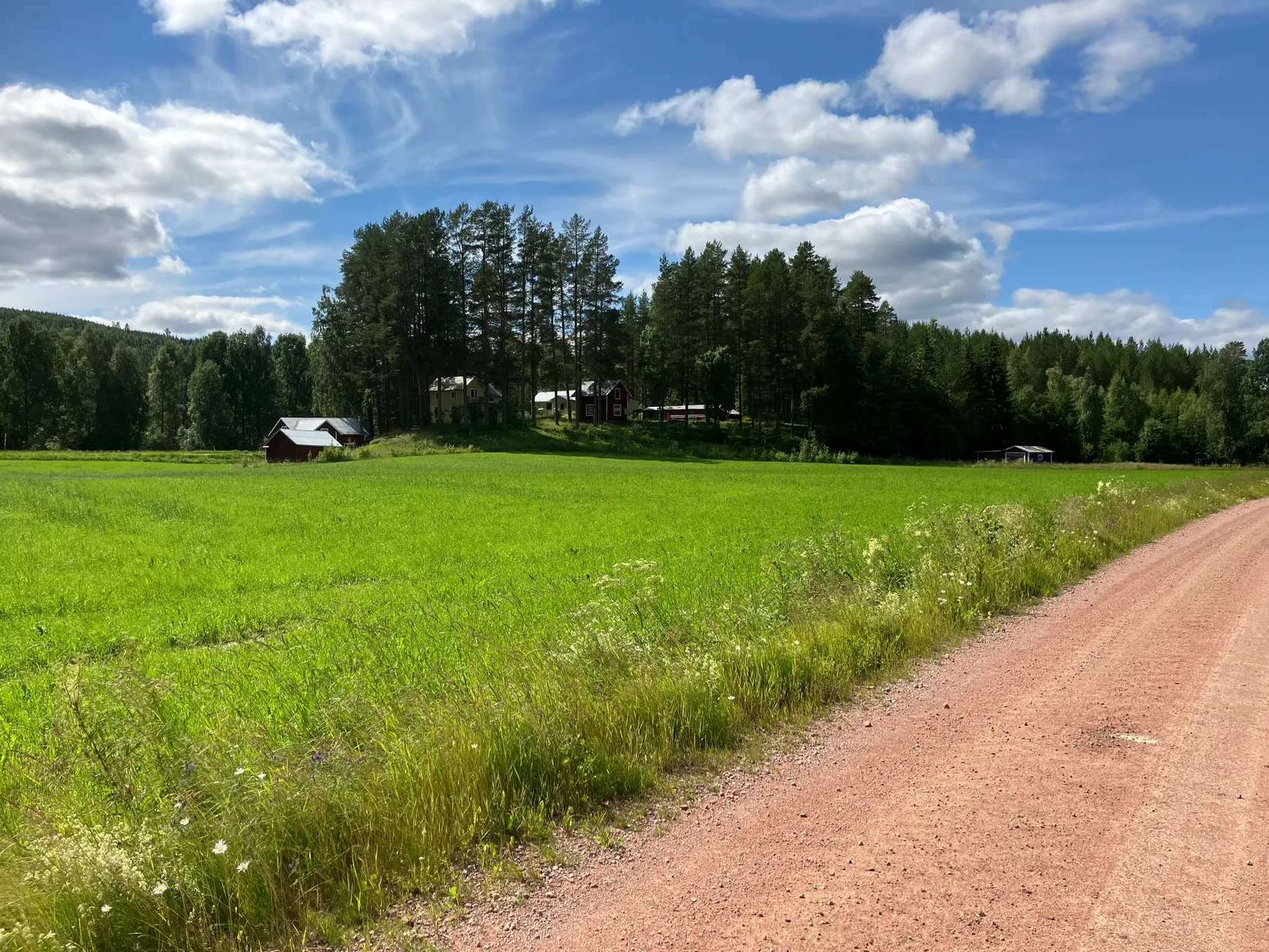 Gård/Skog, Gevåg 507, Hammarstrand, Ragunda