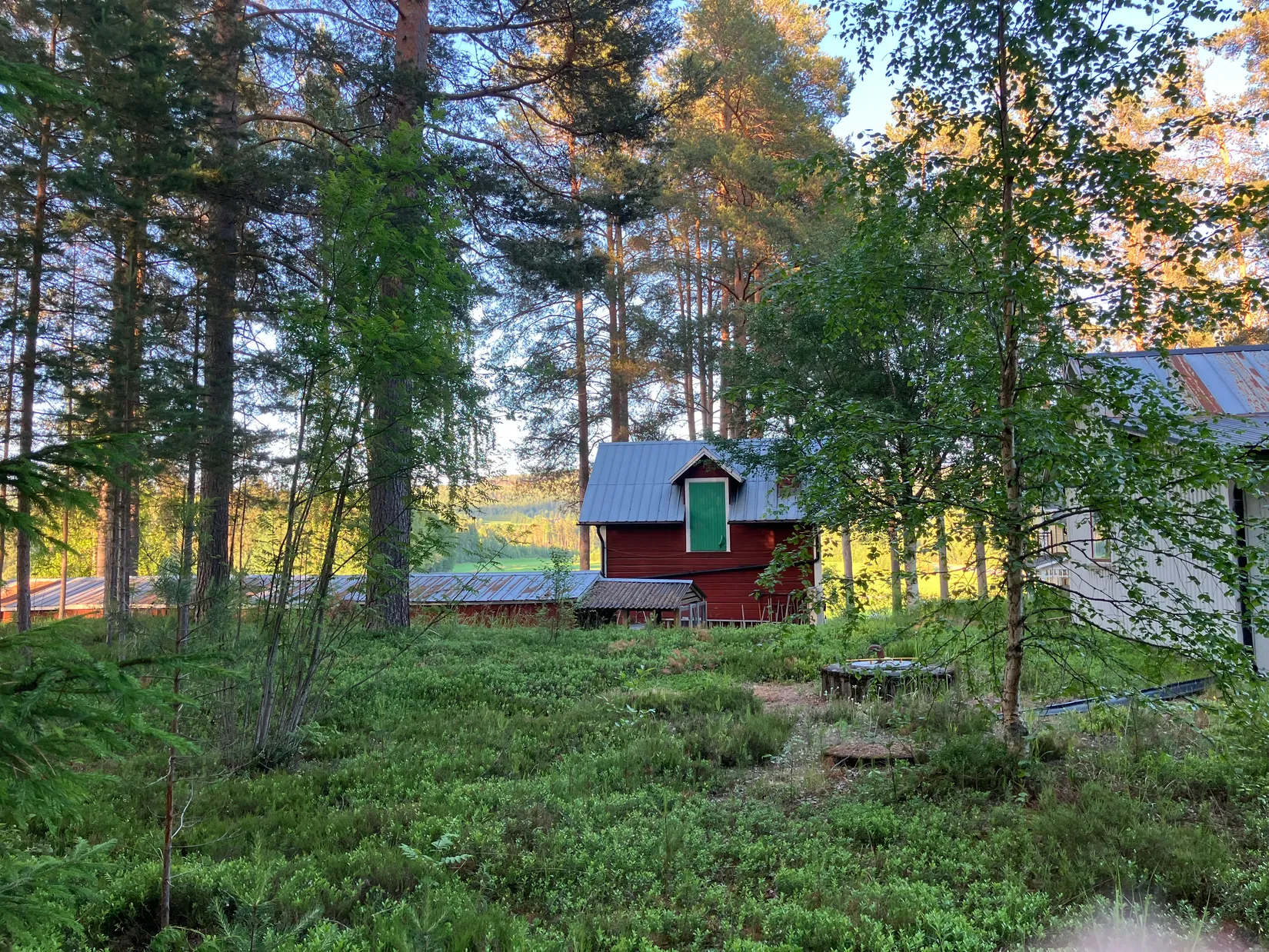 Gård/Skog, Gevåg 507, Hammarstrand, Ragunda